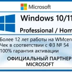 WINDOWS 10/11 PRO/HOME