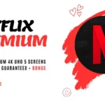 Netflix Premium 4K 365 days 5 screens PayPal + bonus